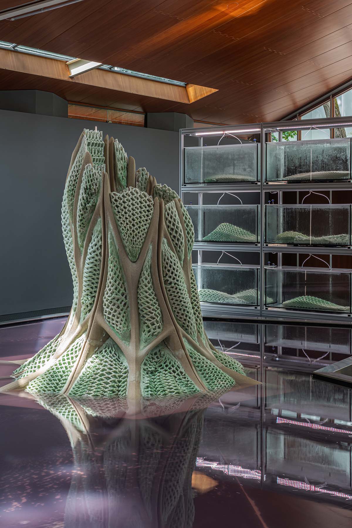 Canada Pavilion creates the largest living material structures at the Venice Architecture Biennale