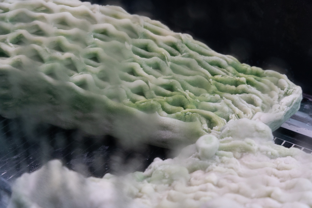 Canada Pavilion creates the largest living material structures at the Venice Architecture Biennale