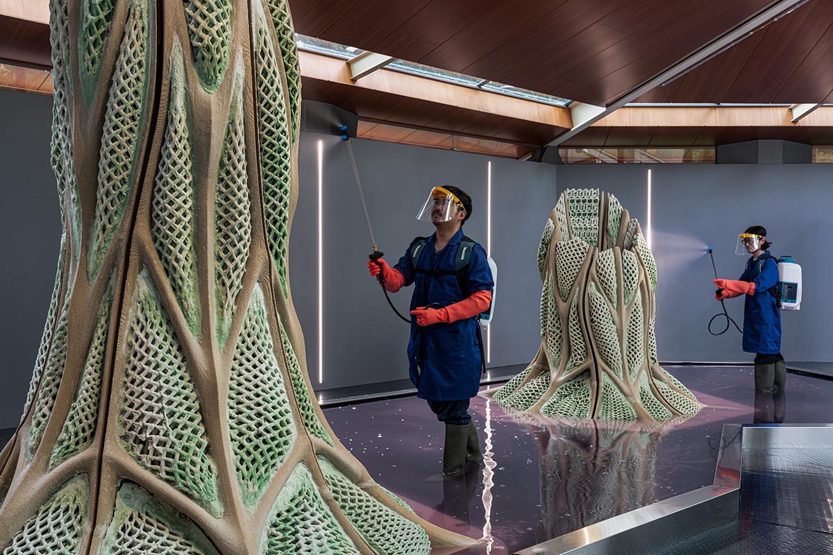 Canada Pavilion creates the largest living material structures at the Venice Architecture Biennale
