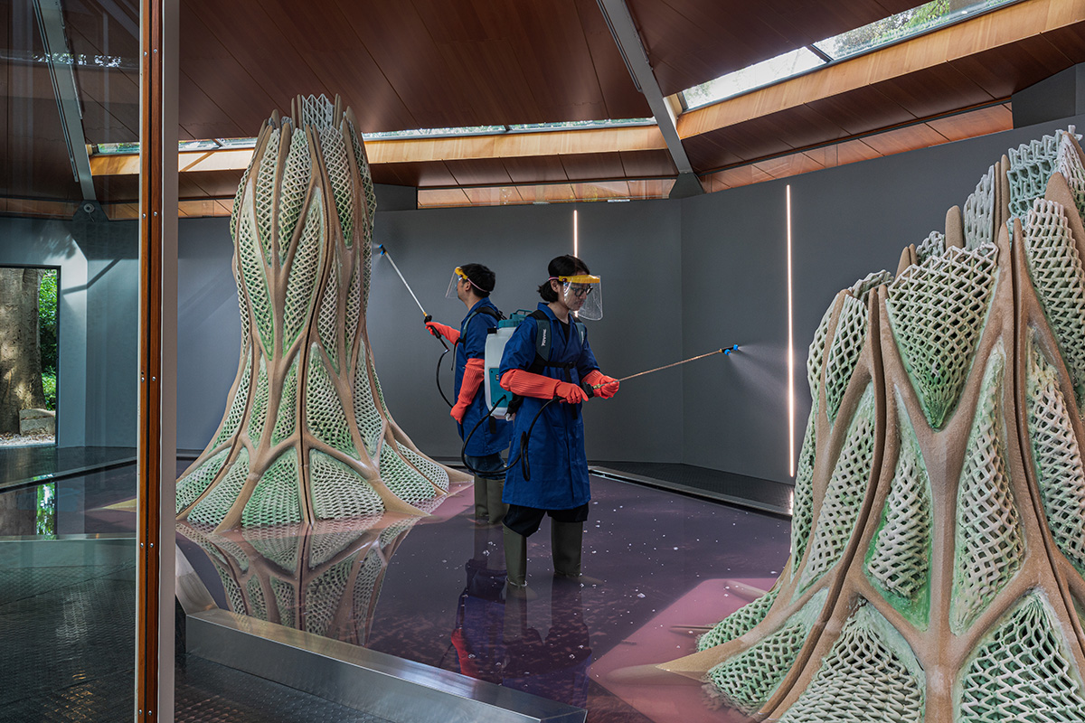 Canada Pavilion creates the largest living material structures at the Venice Architecture Biennale