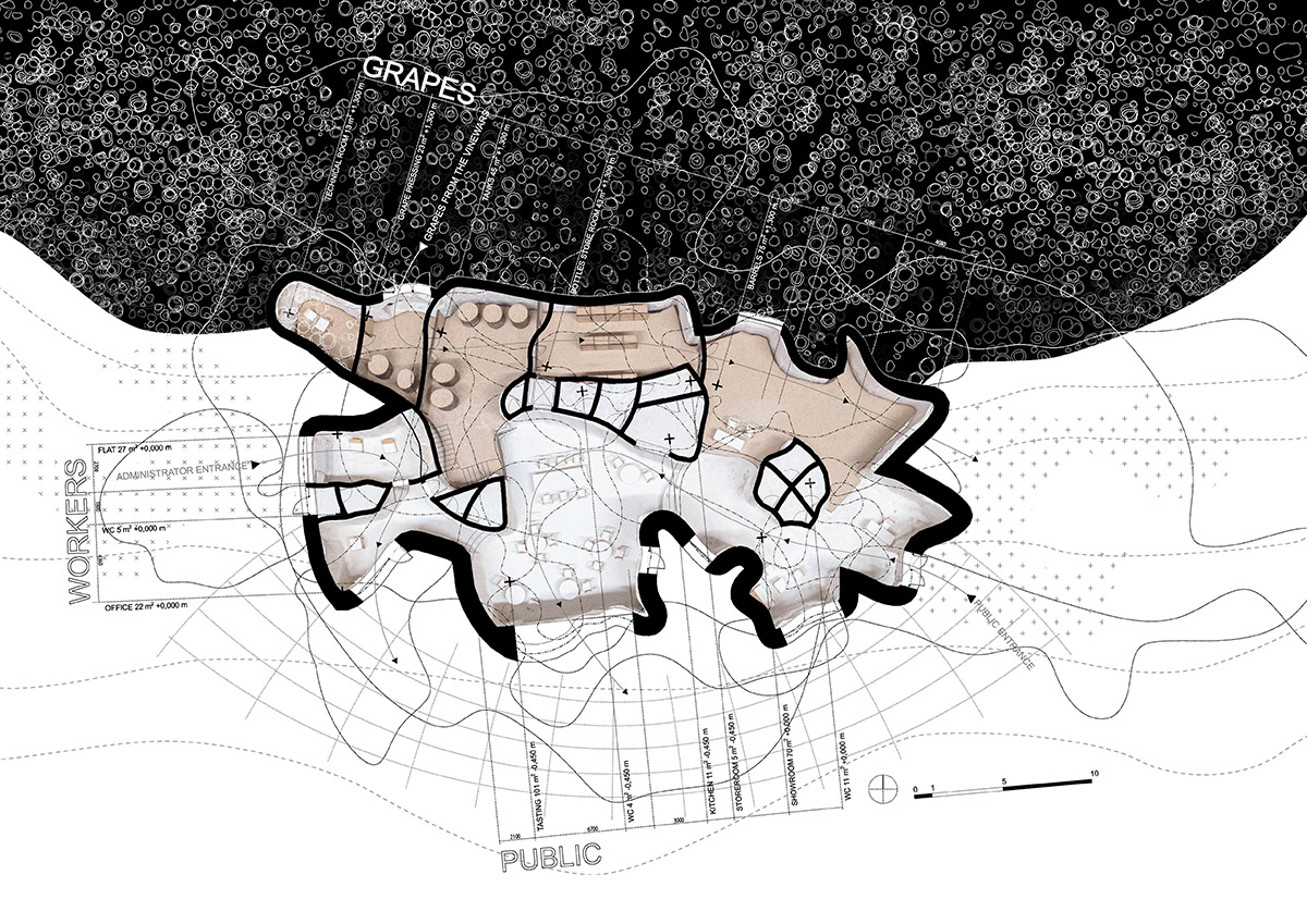 CHYBIK+KRISTOF's new sinuous winery takes inspiration from biological process of fermentation