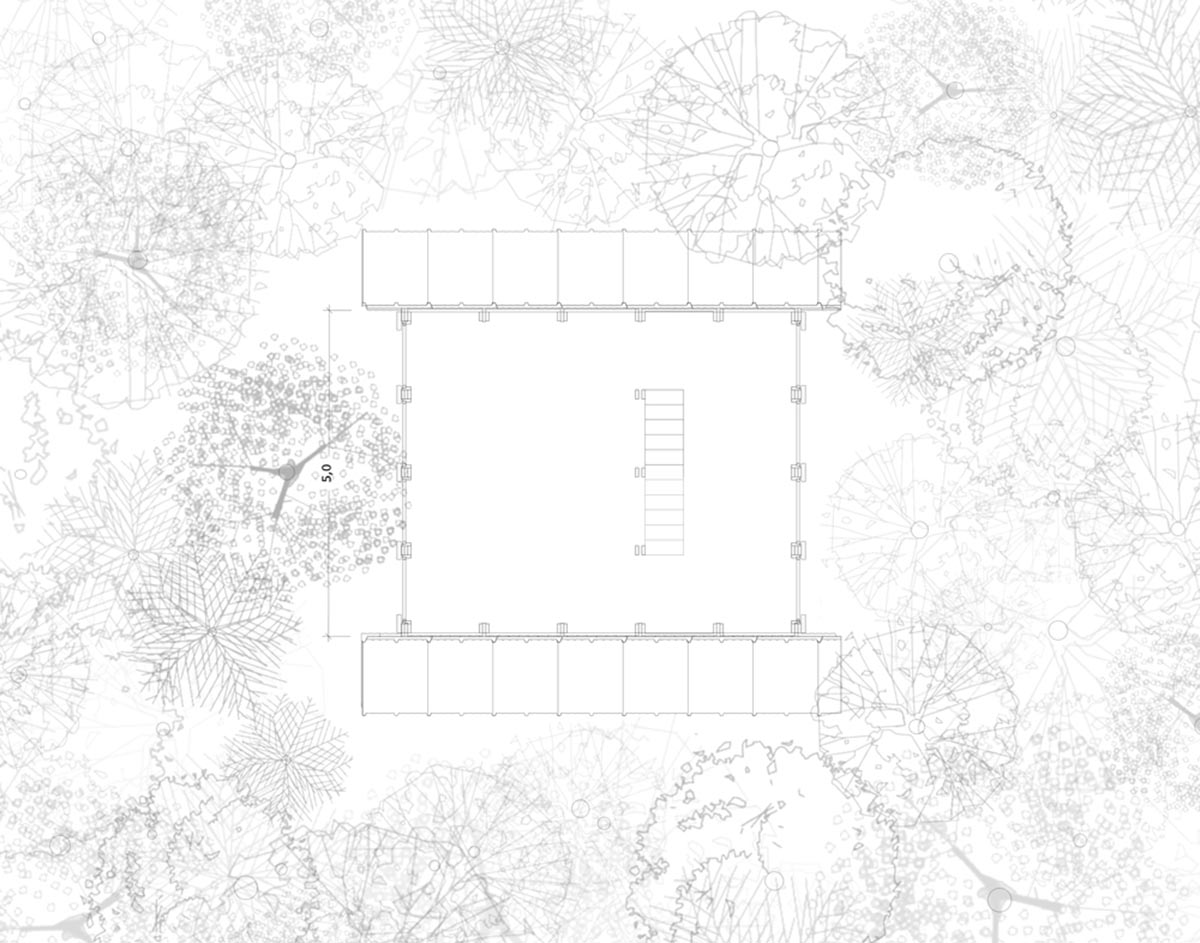 Macaco House is lifted on pillars to have zero interference in vegetation of Brazilian forest