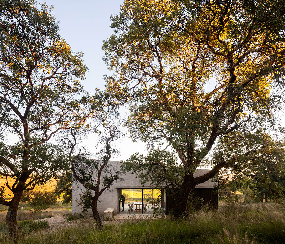 PPAA Arquitectos' simplistic holiday home within a forest takes you away from busy life