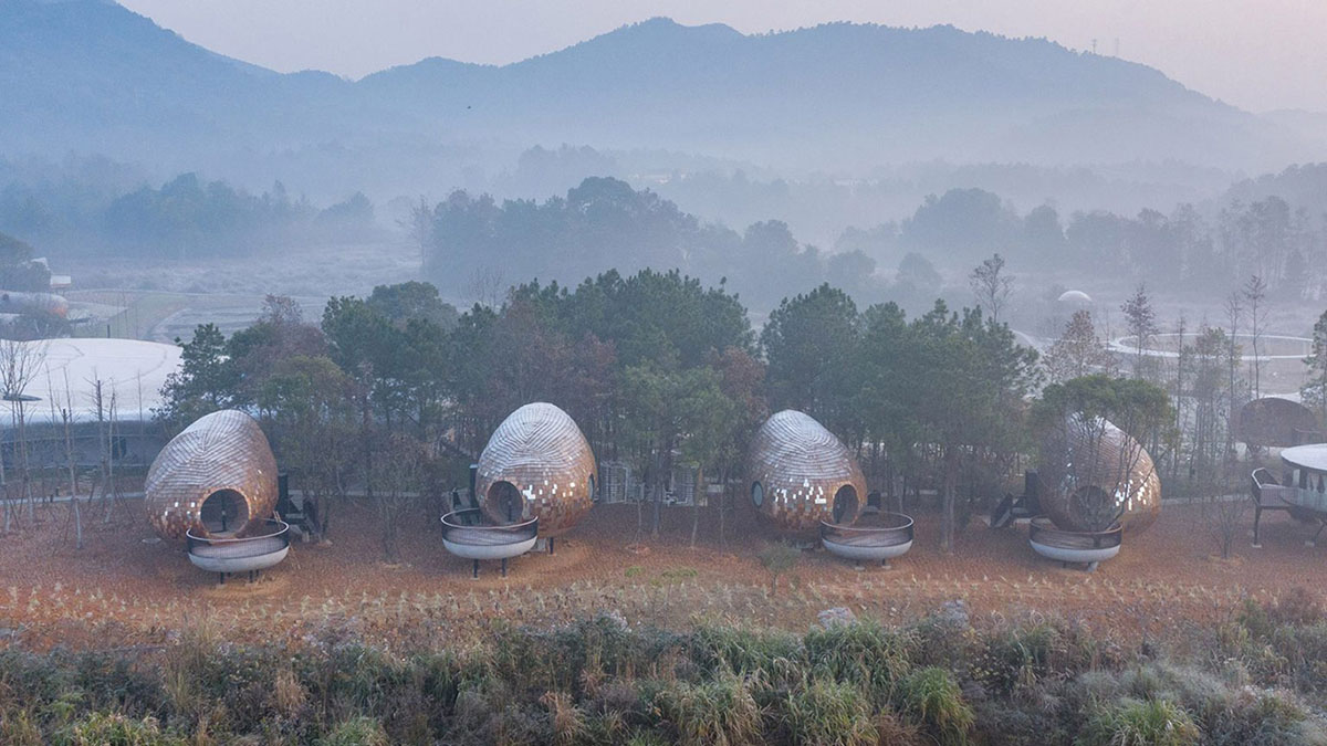 ZJJZ built The Seeds made of ellipsoidal surfaces and clad