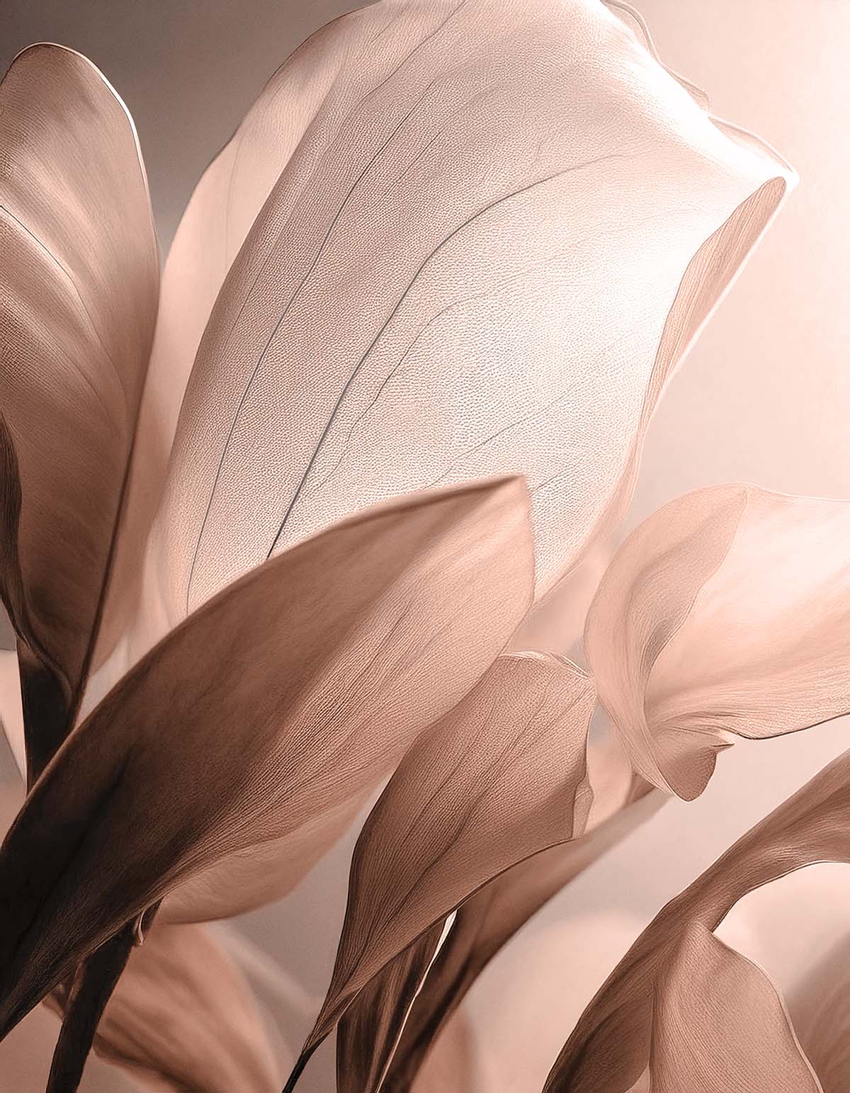 Pantone chooses Mocha Mousse as Pantone's Color of the Year 2025 