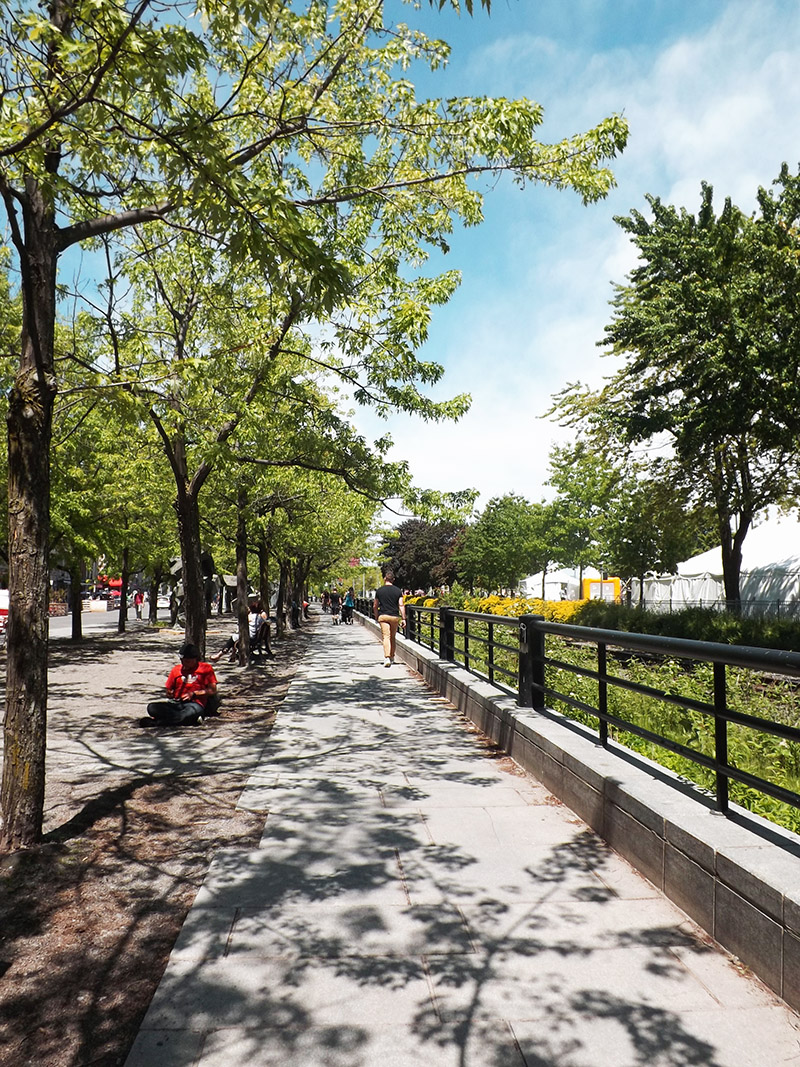 In the Eyes of Montreal: How it gets its fame from being a Non-Capital City?