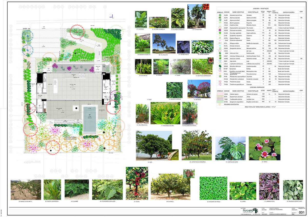 Pupunha House offers skyward oasis amidst a lush landscape in Manaus
