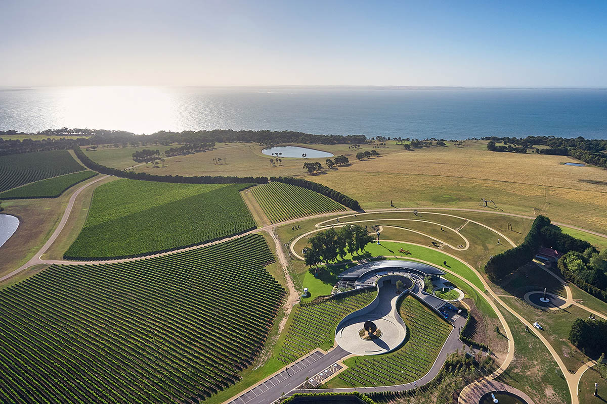 Jolson Architecture and Interiors completes Pt. Leo Estate Winery with sculptural walls in Australia