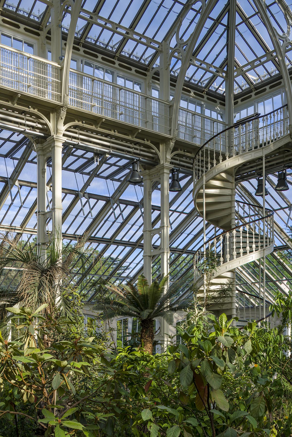 Donald Insall Associates converts 19th-century Temperate House into a giant botanical garden