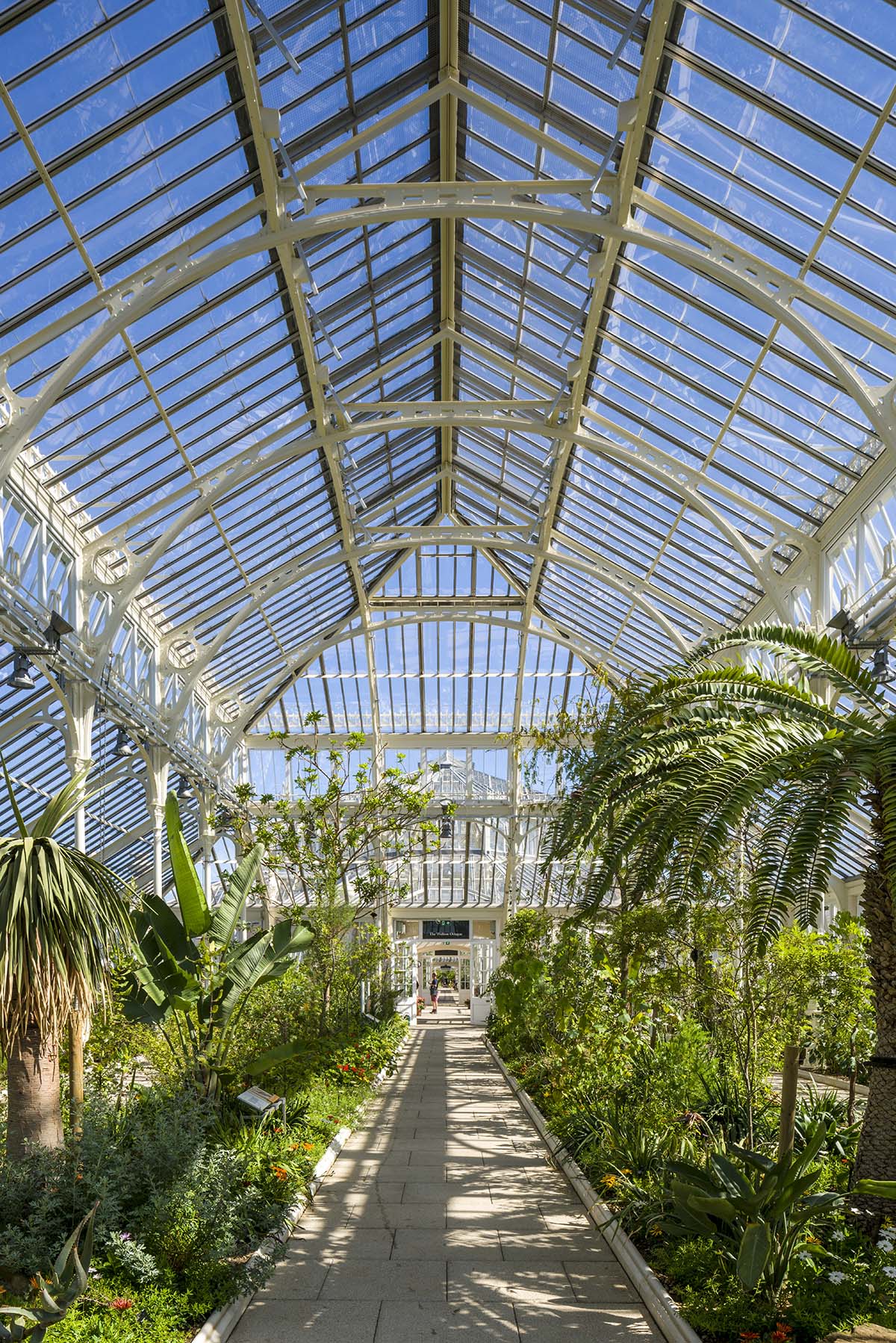 Donald Insall Associates converts 19th-century Temperate House into a giant botanical garden
