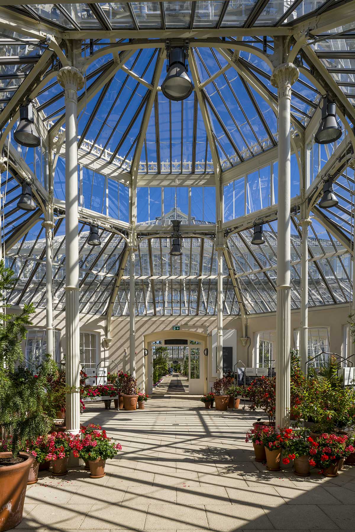 Donald Insall Associates converts 19th-century Temperate House into a giant botanical garden