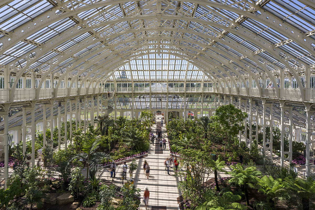 Donald Insall Associates converts 19th-century Temperate House into a giant botanical garden