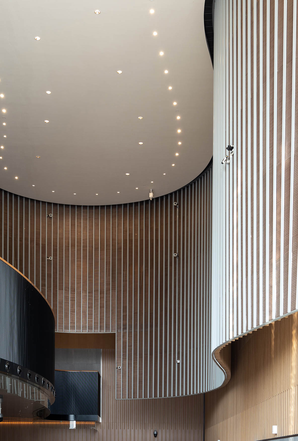 Rocco Design Architects Associates completes Bao'An Performing Arts Center in Shenzhen