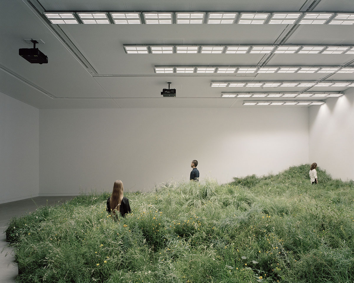 Australia Pavilion's green island addresses to the repair of grasslands at Venice Biennale
