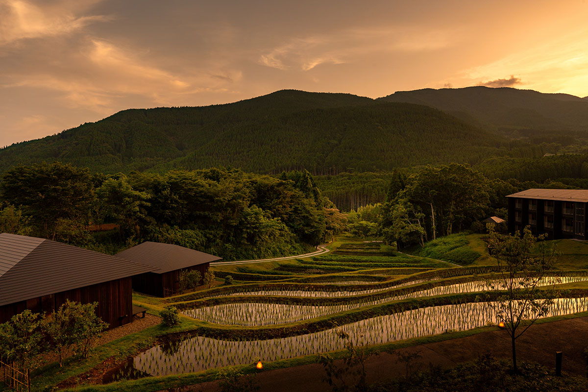 Kengo Kuma & Associates completes hot spring resort surrounded by cascading rice terraces in Kyushu