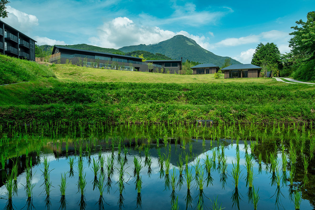 Kengo Kuma & Associates completes hot spring resort surrounded by cascading rice terraces in Kyushu