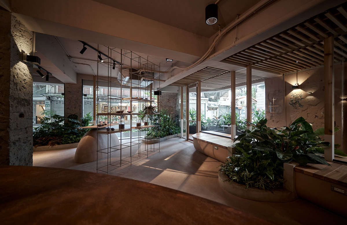 Soar Design Studio adds greenery and smooth surfaces to chocolate store offering garden-like space