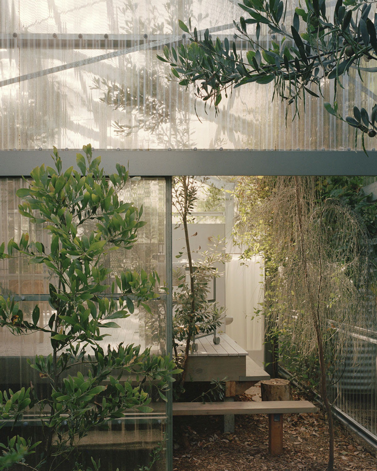 Baracco+Wright Architects opens up interiors with this shed wrapped by polycarbonate sheets 