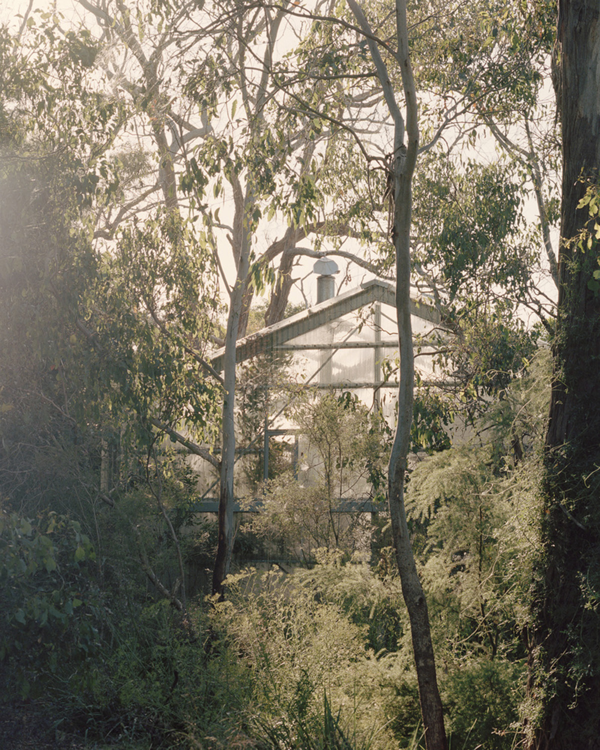 Baracco+Wright Architects opens up interiors with this shed wrapped by polycarbonate sheets 