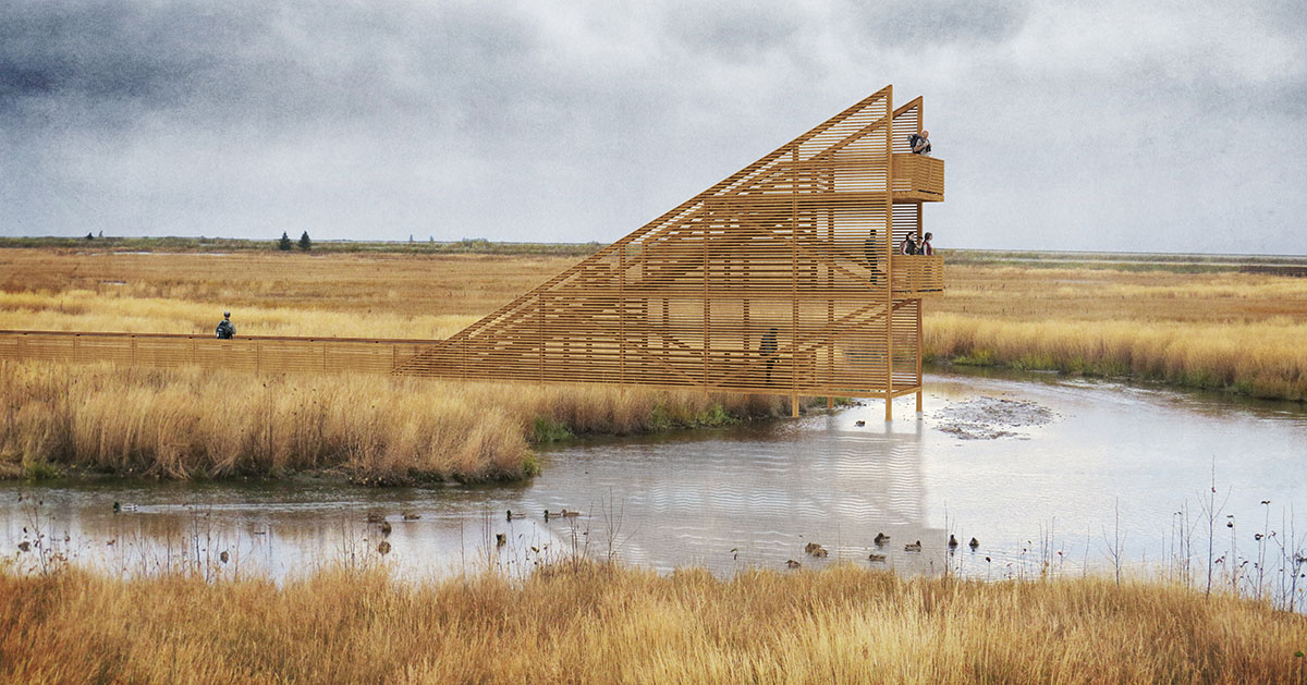 Pape Bird Observation Tower winners announced for Latvia's Pape Nature Park