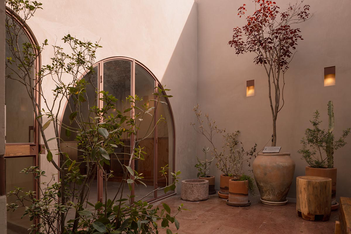 Casa de Rubén serves as a haven and a source of healing for the LGBTQ+ community in Mexico