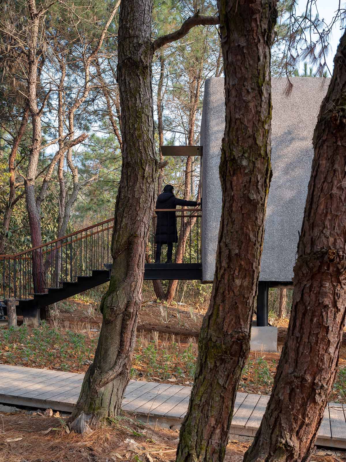 ZJJZ completes a mushroom-formed wood house in a pine forest of Jiangxi