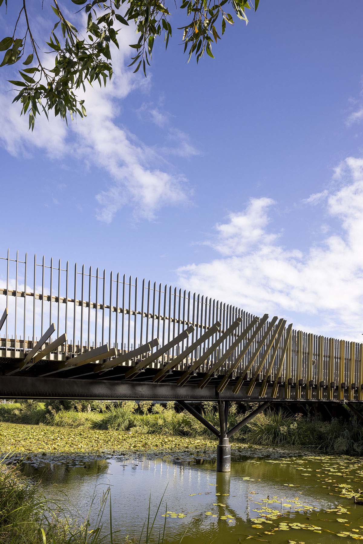 Creativity weaved into possibility: A Story of Sam Crawford Architects, Sydney, Australia