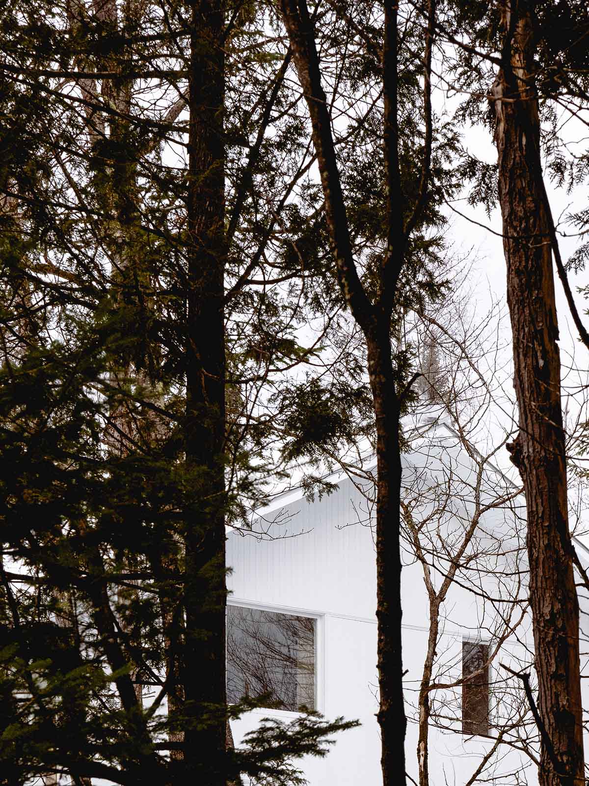 Canadian winter home designed by Atelier L'Abri looks like it is covered in  snow in the forest