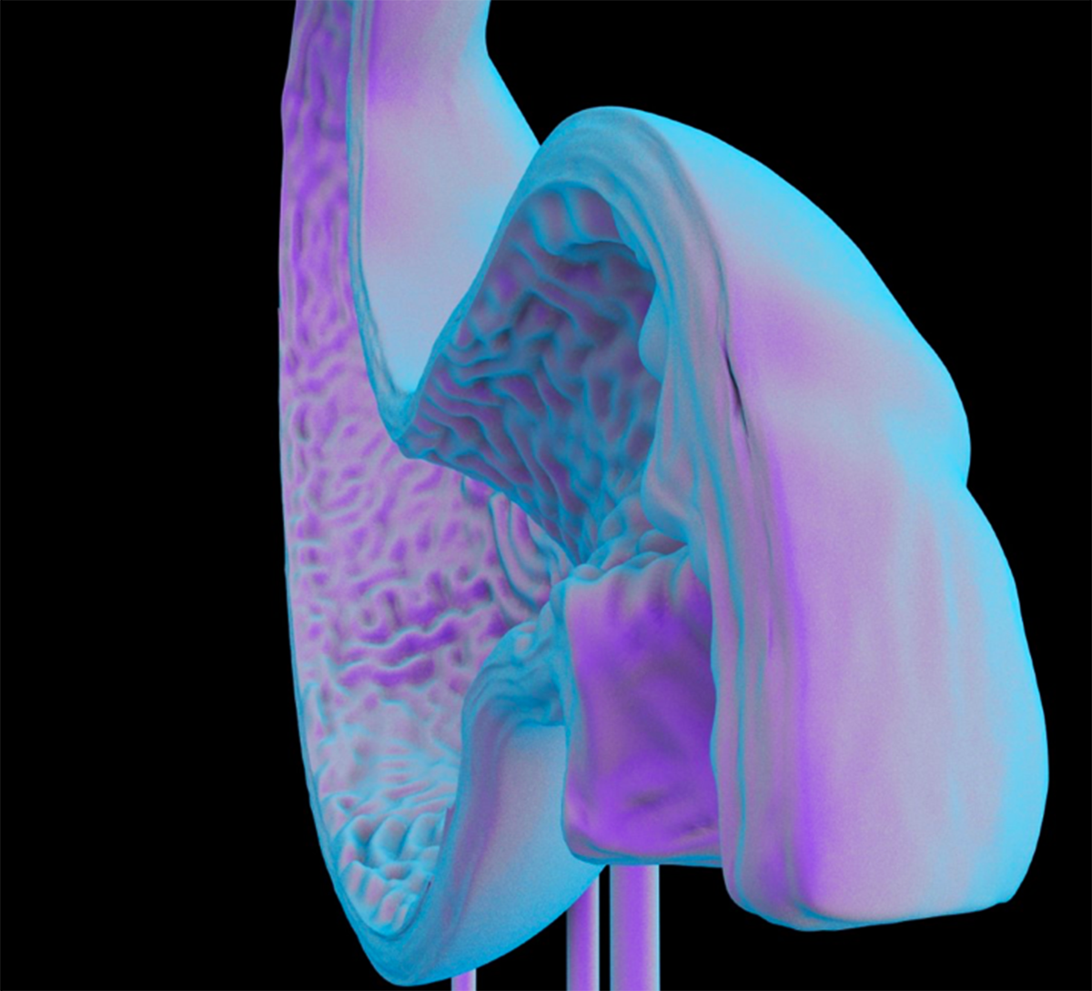 Participants Announced For The 4th Istanbul Design Biennial