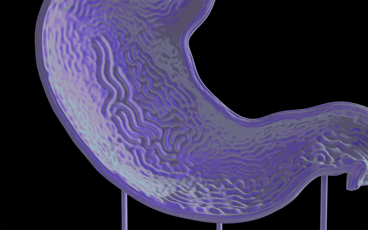 Participants Announced For The 4th Istanbul Design Biennial