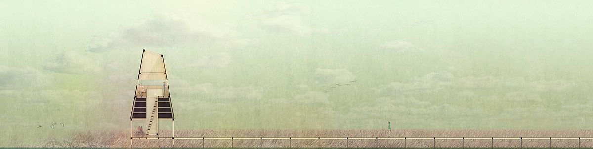 Pape Bird Observation Tower winners announced for Latvia's Pape Nature Park