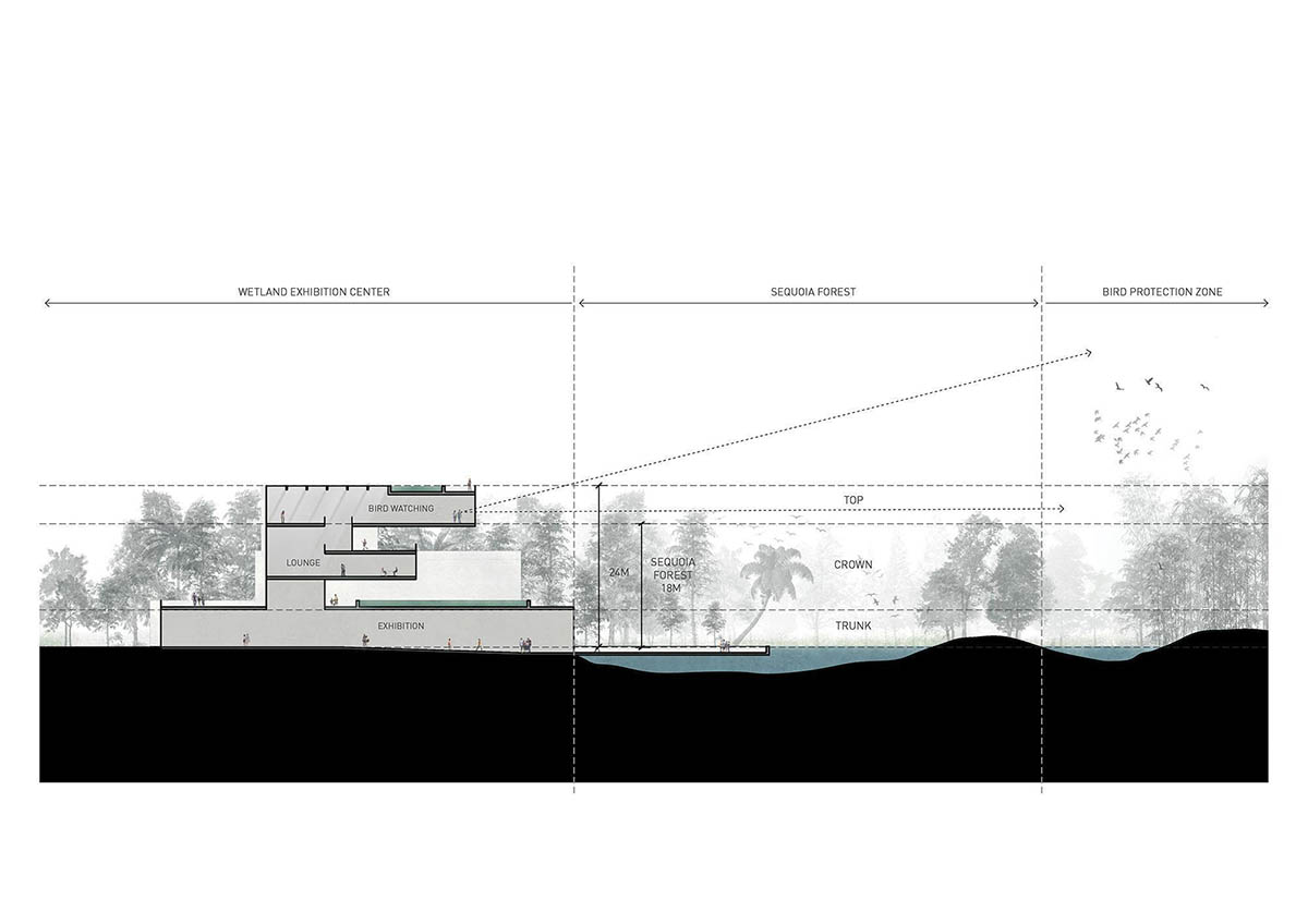 Yunlu Wetland Museum becomes a harmonious sanctuary for egrets and nature in China 