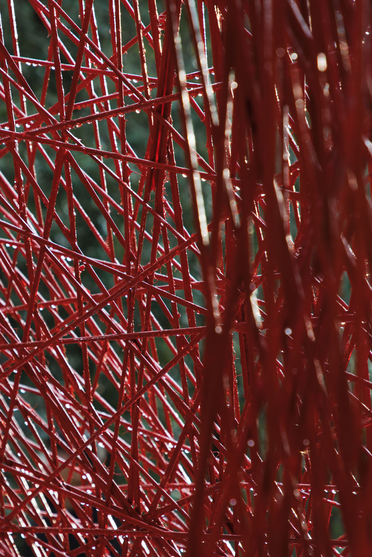 Wutopia Lab designs China's first all carbon-fiber installation in the rural area of Zhejiang