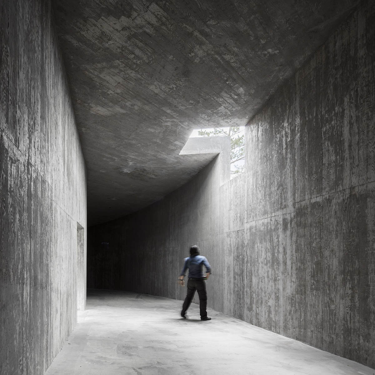 Álvaro Siza Vieira and Carlos Castanheira complete trio of concrete buildings in South Korean forest