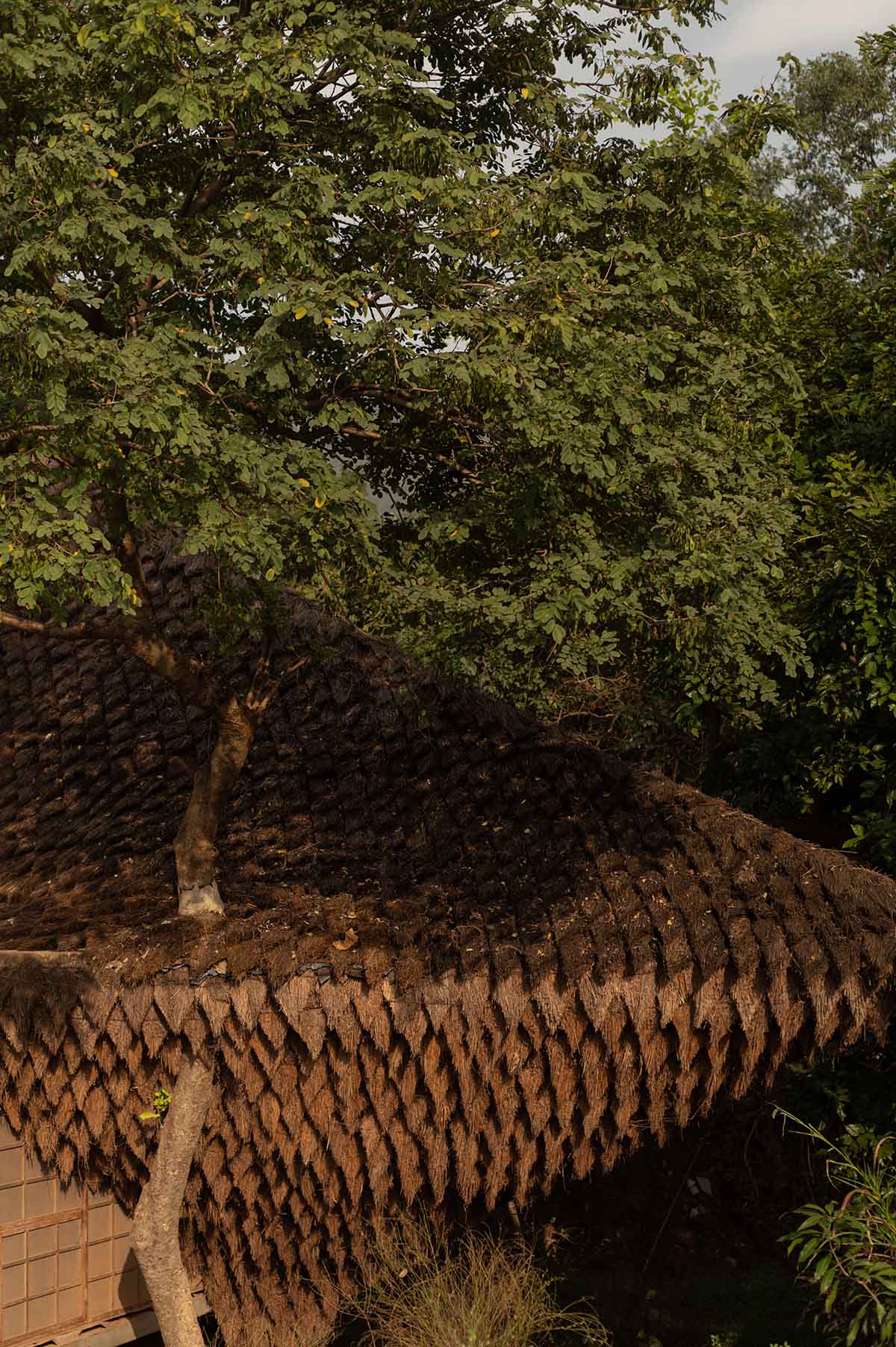 The bridge that became a house and resembled a cocoon in Karjat, designed by Wallmakers