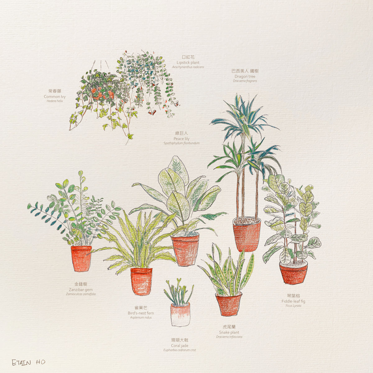 This tiny cafe features peachy-colored shades referencing to golden sunset of Australia in Hong Kong