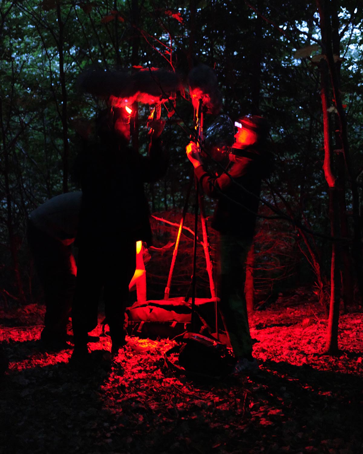 The Luxembourg Pavilion will explore space from a new auditory perspective at the Venice Biennale 