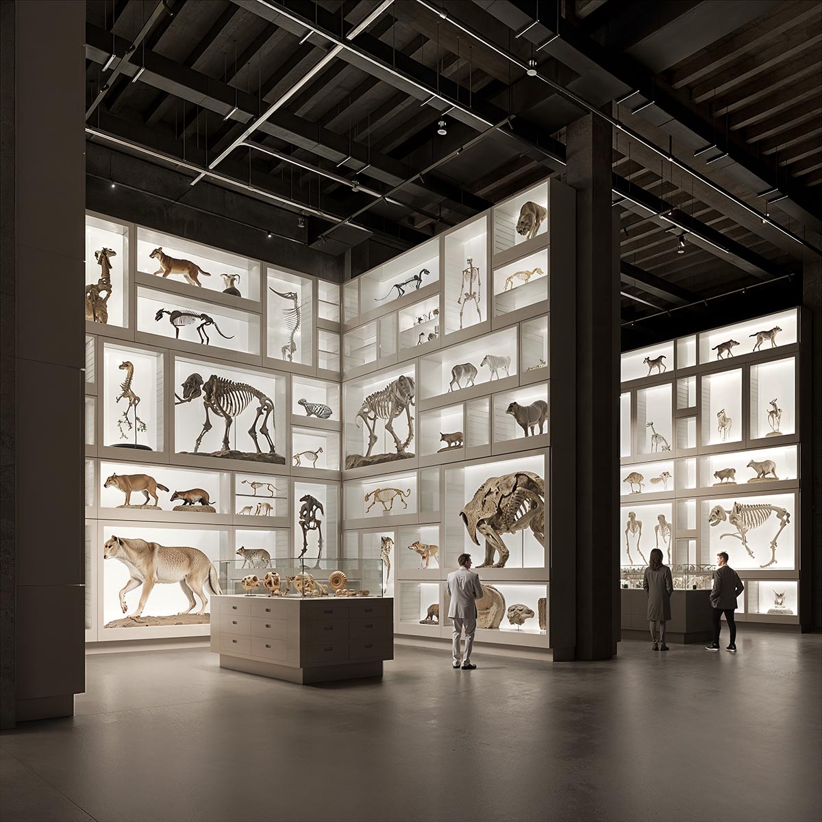Winners announced for the Hungarian Museum of Natural History's New Collection Centre 