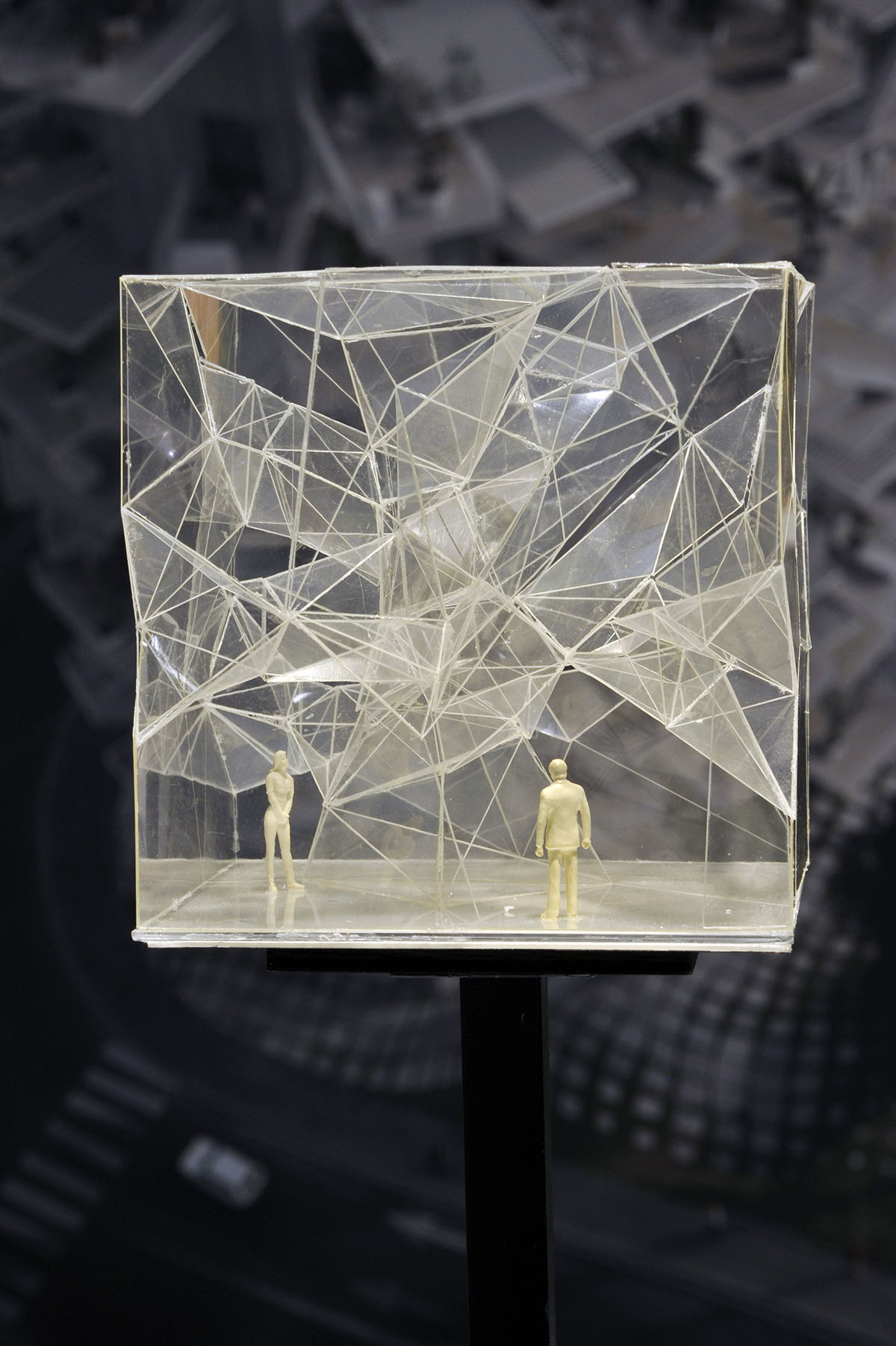 Sou Fujimoto's