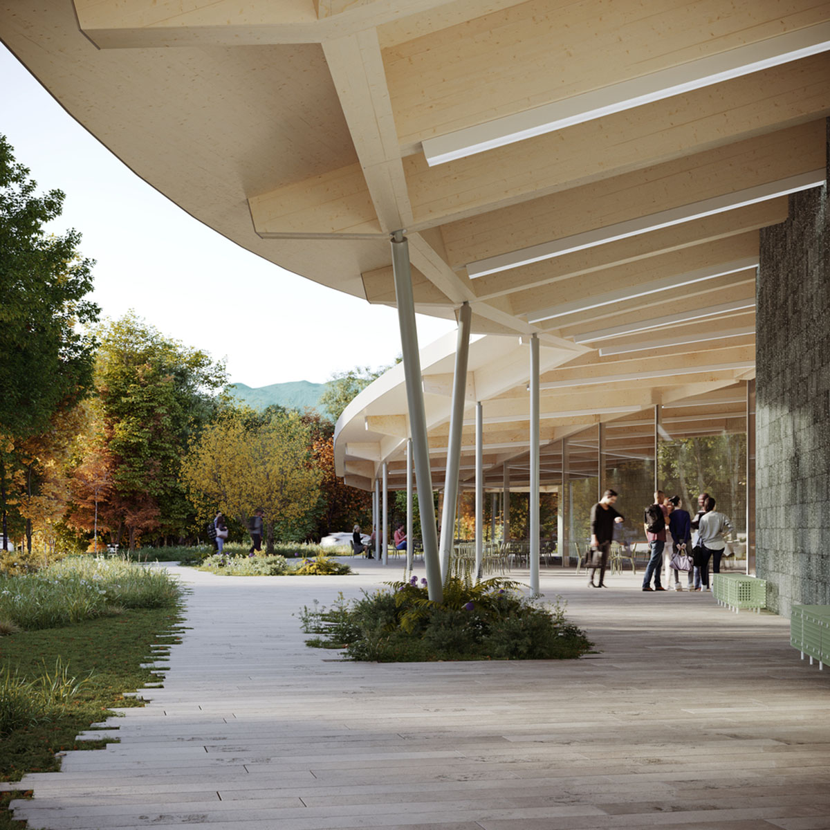 SO-IL unveils design for new Williams College Museum of Art with undulating timber ceilings