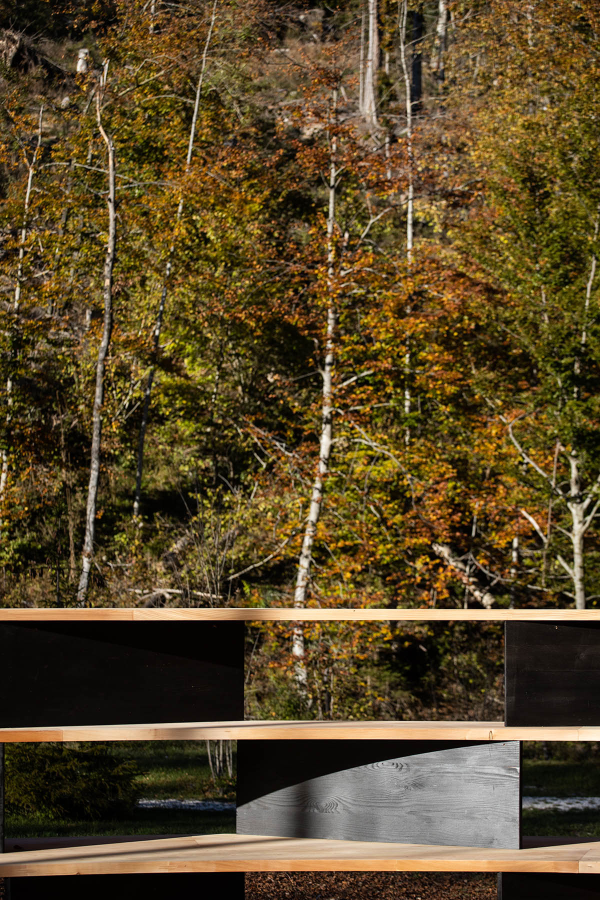 Stefano Boeri designs circular wooden tree-room in Borgo Valsugana, Italy