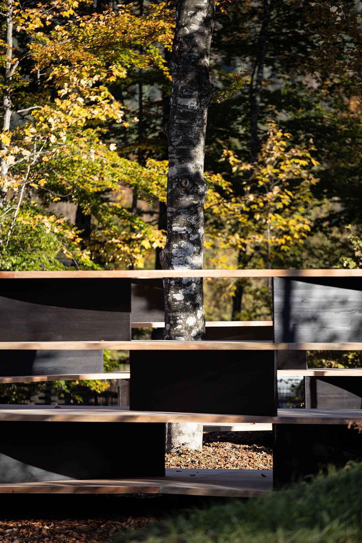 Stefano Boeri designs circular wooden tree-room in Borgo Valsugana, Italy