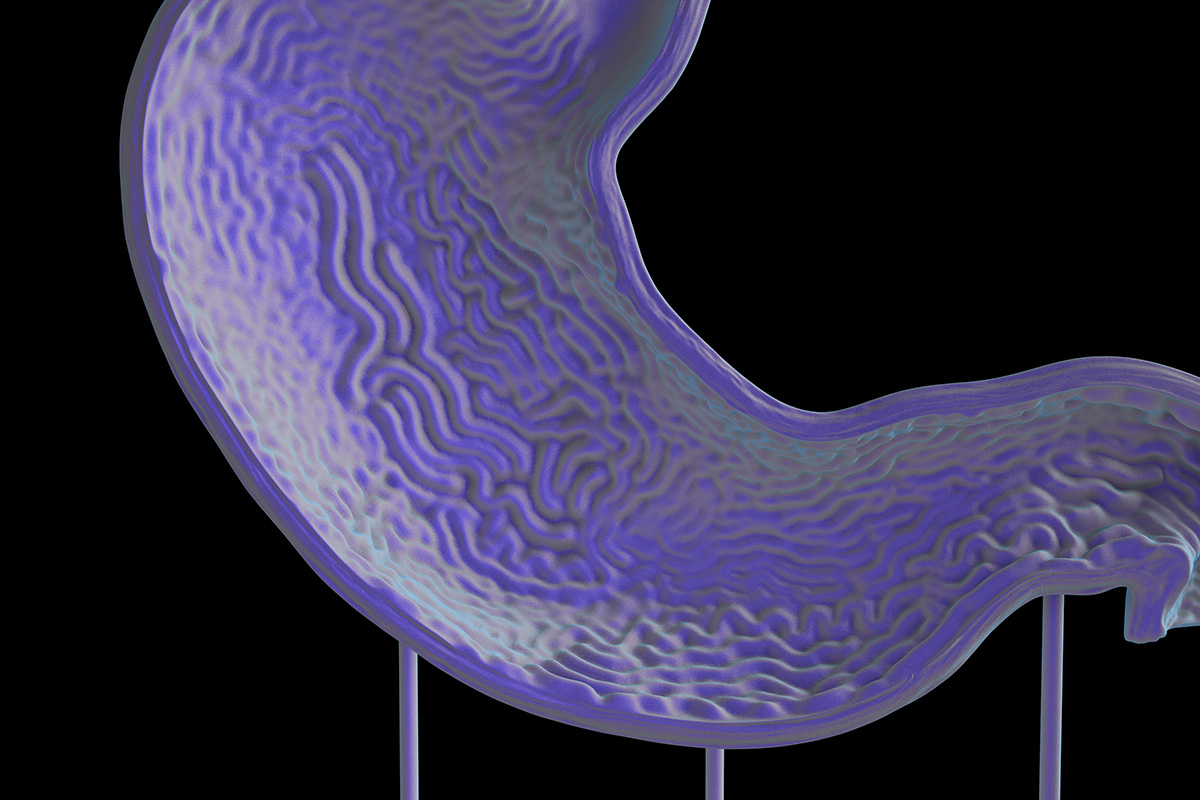 First images and details released for Istanbul Design Biennial 2018