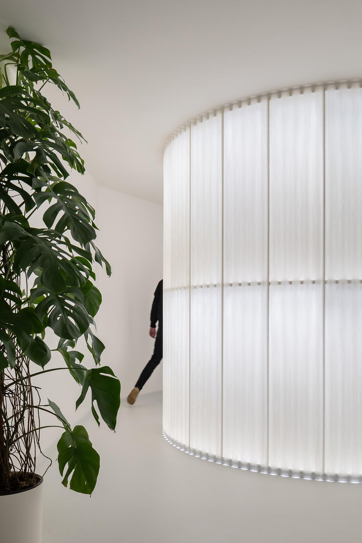 A beauty salon brings warm light with translucent partitions and tactile elements in Prague