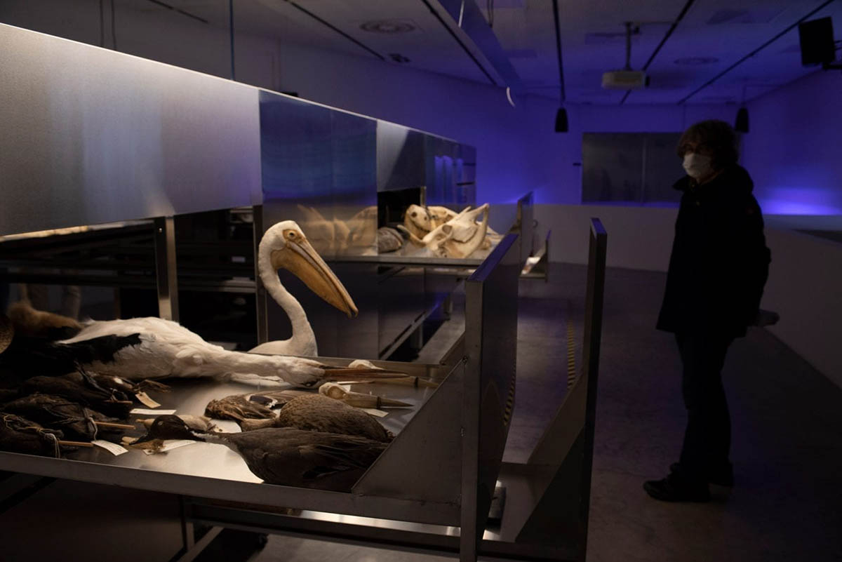 Israel Pavilion explores reciprocal relations between humans and animals at Venice Biennale