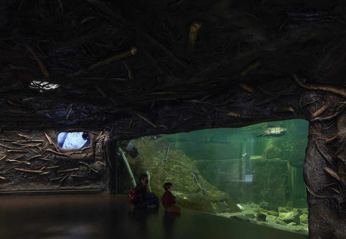 Kanva revitalizes Montréal Biodome with triangular beams and multiple pathways in Canada