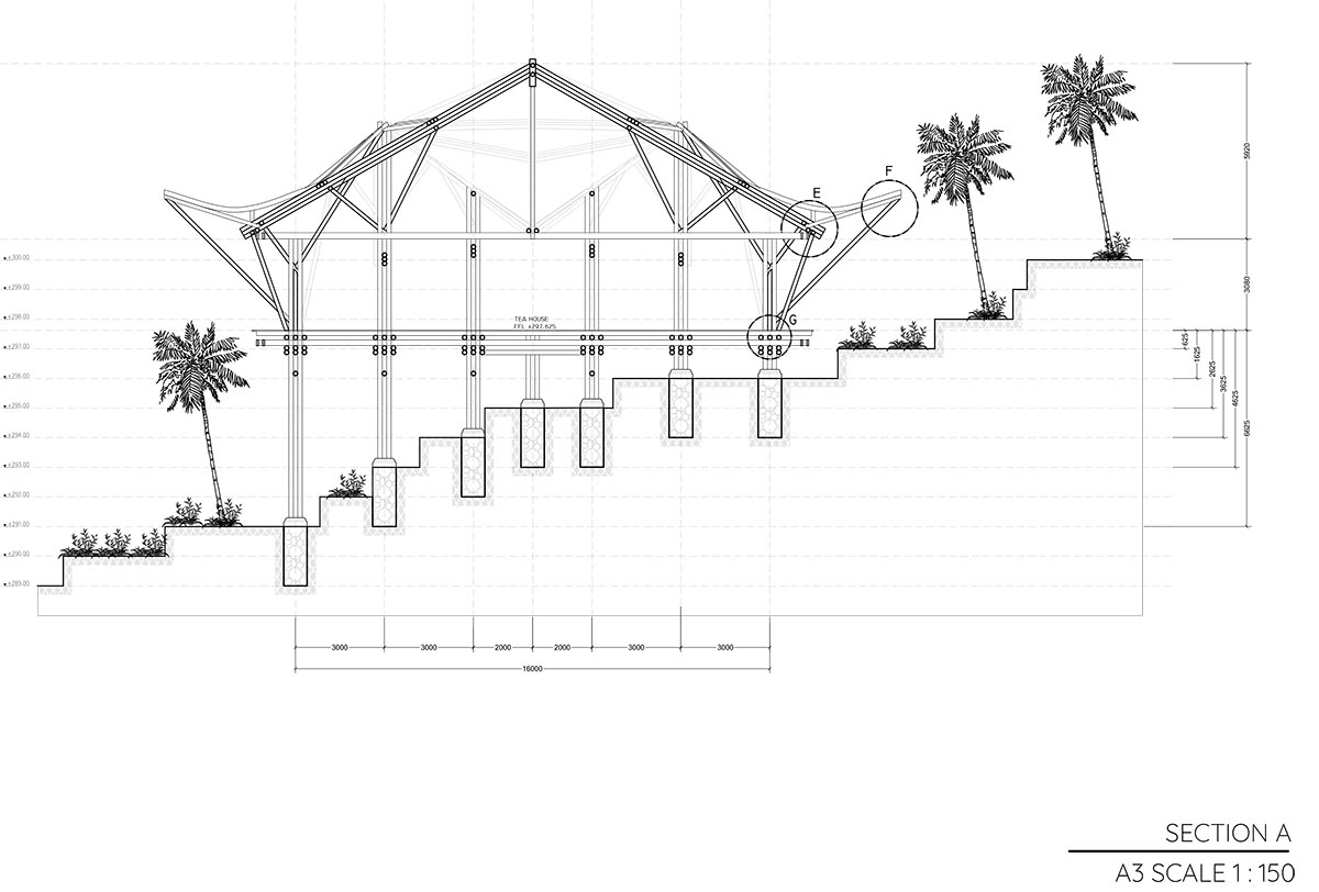 Where in the World Does Bamboo Grow? - Pablo Luna Studio