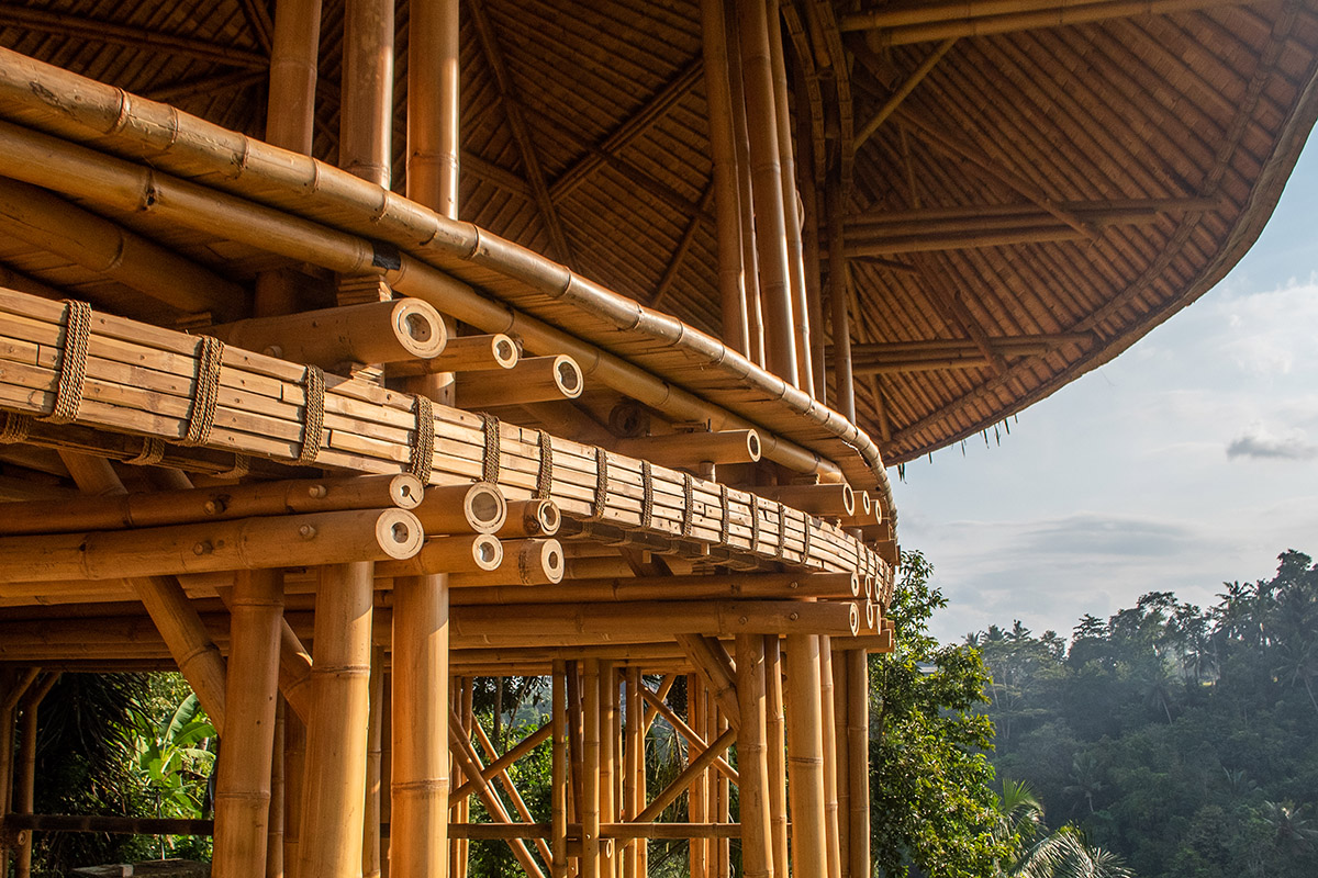 undulating bamboo canopy tops oval teahouse by pablo luna within lush  jungle in bali