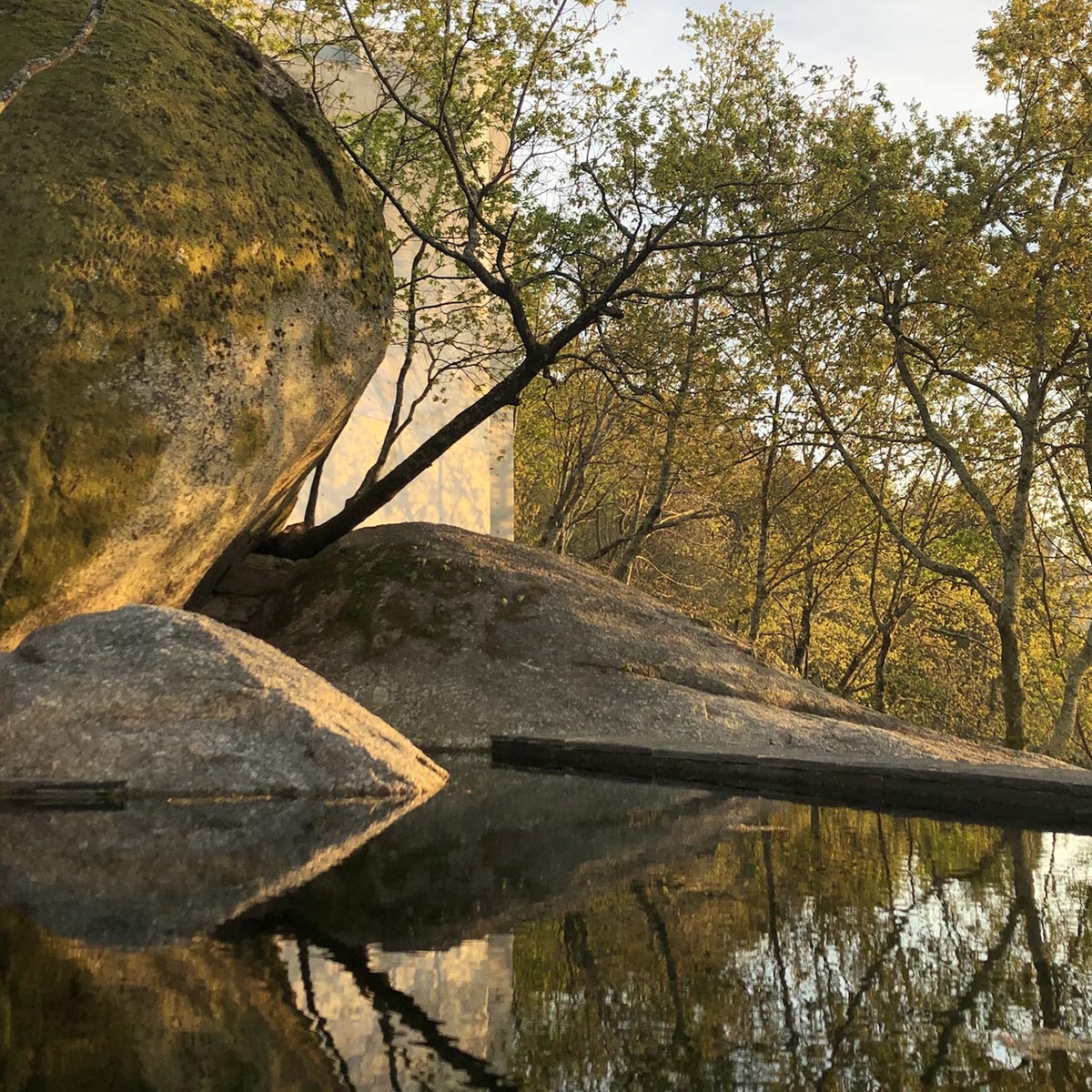 Nicholas Burns' Chapel and Meditation Room beautifully becomes one with the landscape