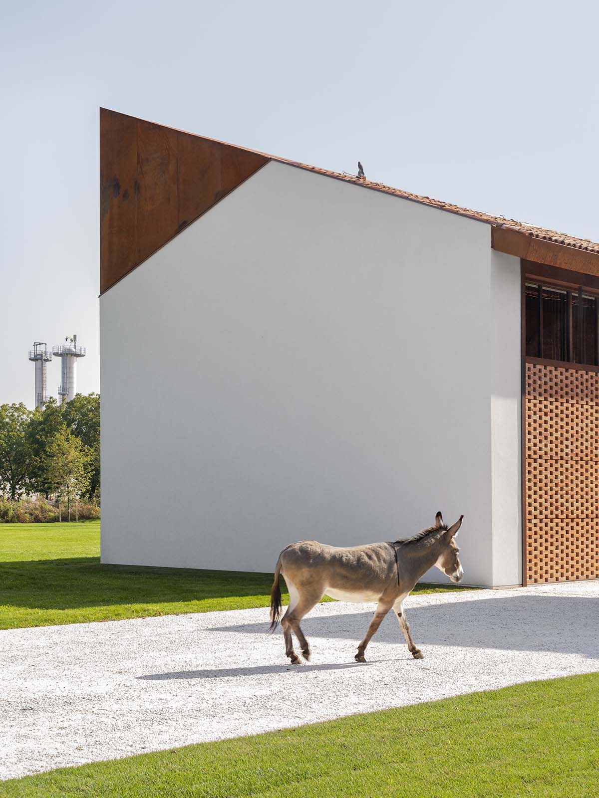 Carlo Ratti Associati completes private house around ten-meter-tall ficus tree in Italy